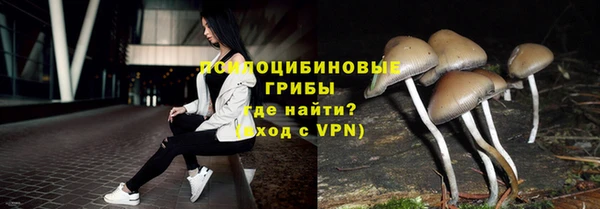 шишки Горняк