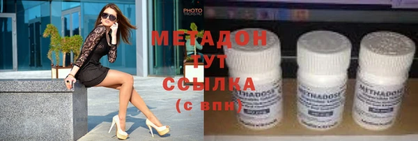 шишки Горняк