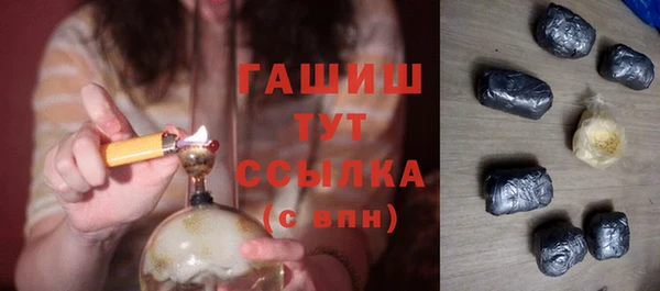 шишки Горняк