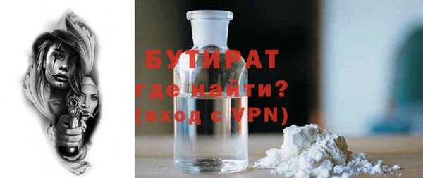 шишки Горняк