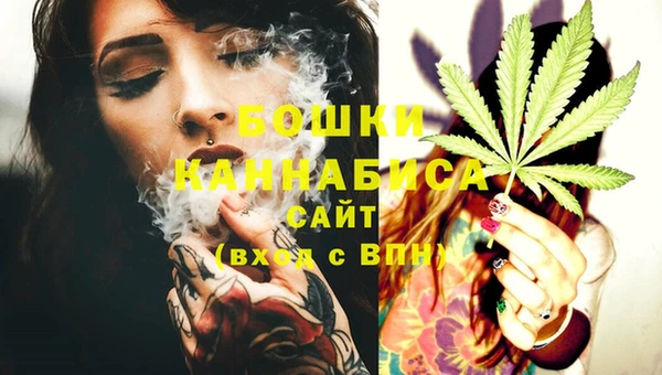 Альфа ПВП Белокуриха