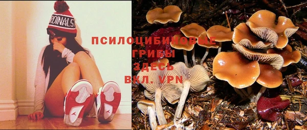 Альфа ПВП Белокуриха