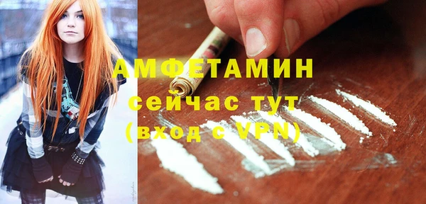 шишки Горняк