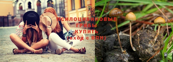 шишки Горняк