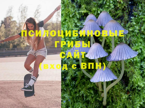 МДПВ Горнозаводск