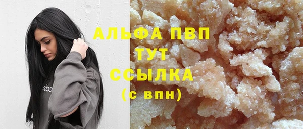 Альфа ПВП Белокуриха