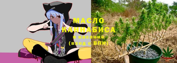 шишки Горняк