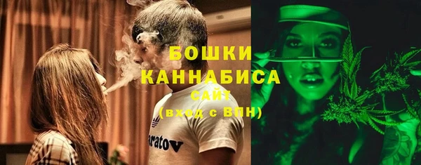Альфа ПВП Белокуриха