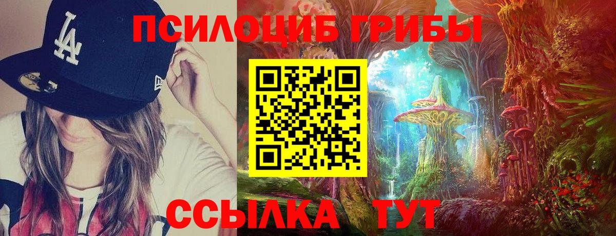 Минусинск  Галлюциногенные грибы Cubensis  Галлюциногенные грибы Psilocybine cubensis  Вход с VPN 