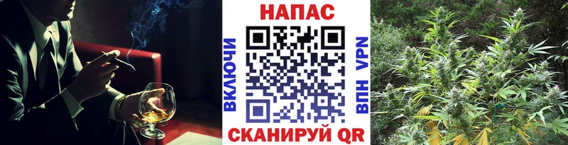 Конопля SATIVA & INDICA  даркнет сайт  Минусинск 